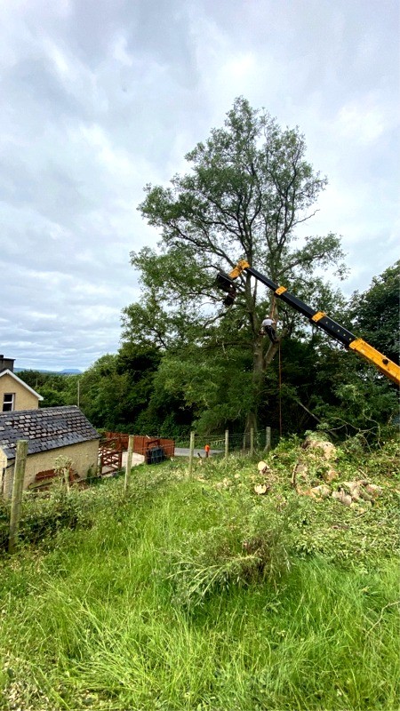 Paul O'Donnell Tree Services, Co Donegal, Ireland